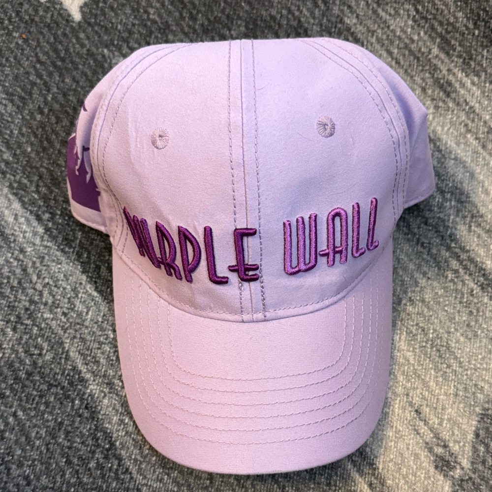 Purple Wall Lavender Cap Disney